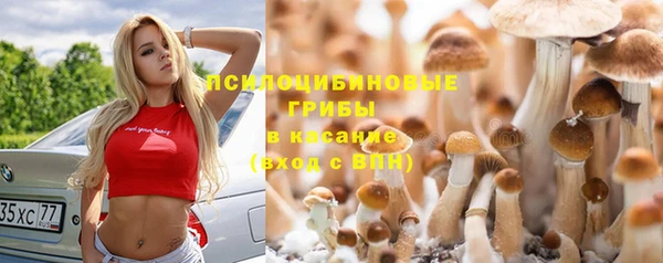 гашишное масло Ельня
